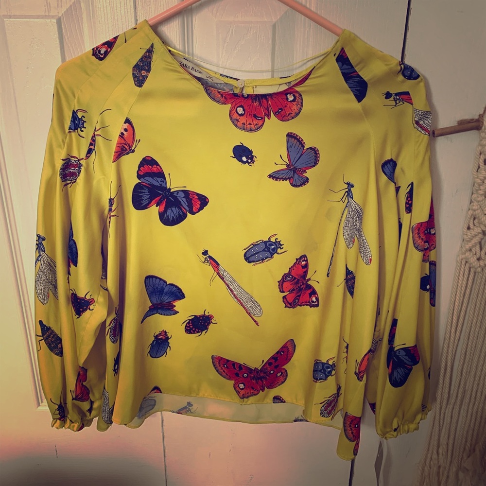 Zara insect top